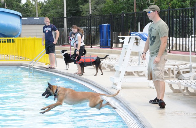 Paws up! Splash! end of summer event goes to the dogs