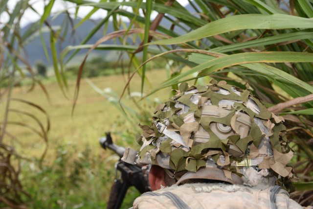 Warrior Brigade Hone Skills during Combined Arms Live-Fire Exercise