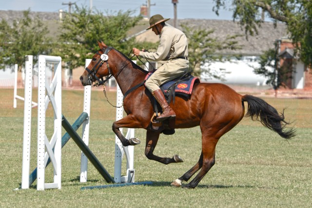 Horse sense