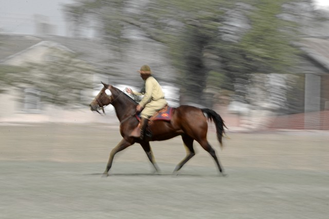 Focus on horsemanship
