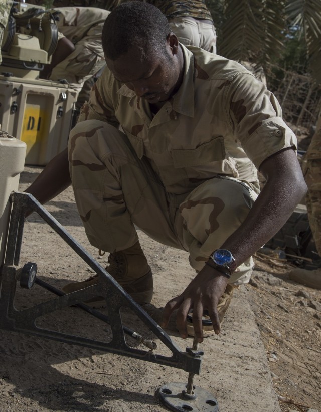 Network training readies Djiboutian soldiers for Somalia mission