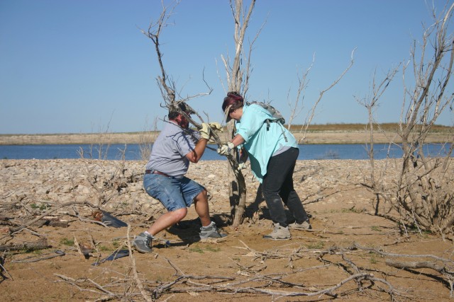 NPLD volunteers improve nesting habitat for endangered birds at John Martin Reservoir