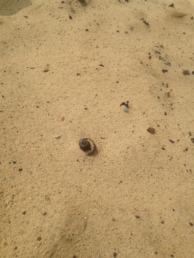 Grenade