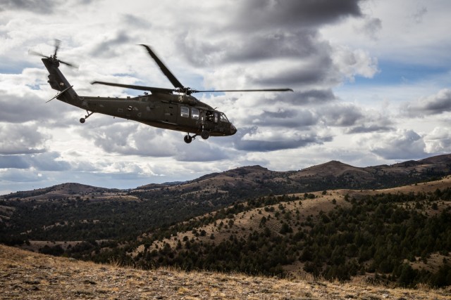 Taking Flight in the Mountains