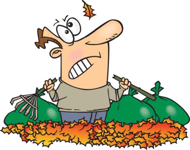 SMDC Safety: Autumn Safety