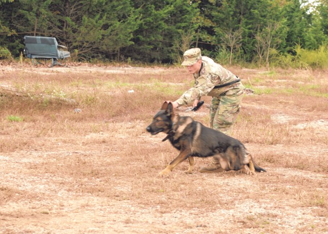 MWDs, handlers learn new tricks in first-of-its-kind training course at Fort Leonard Wood