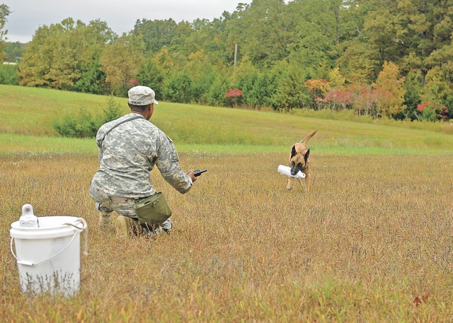 MWDs, handlers learn new tricks in first-of-its-kind training course at Fort Leonard Wood