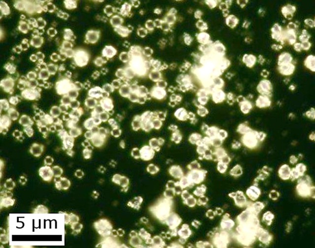 Microscopic image of amorphous explosive material