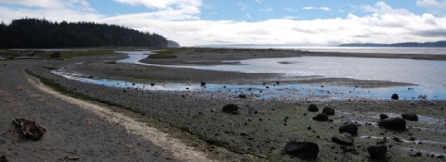 Large Scale Ecosystem Study of the Puget Sound led by the Corps of Engineers