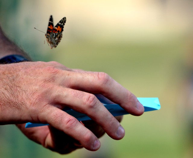 Butterflies take flight during CRDAMC's infant loss remembrance ceremony