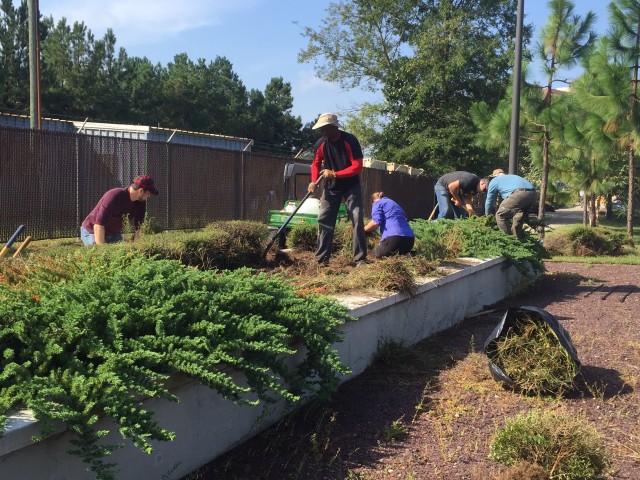 Volunteers Generate Buzz Around Army Reserve on National Public Lands Day