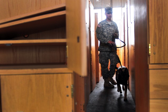 503rd Military Police Battalion Conducts Military Working Dog Training