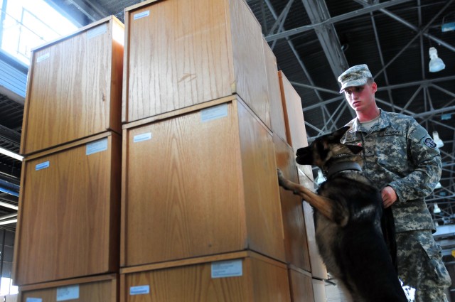 503rd Military Police Battalion Conducts Military Working Dog Training 