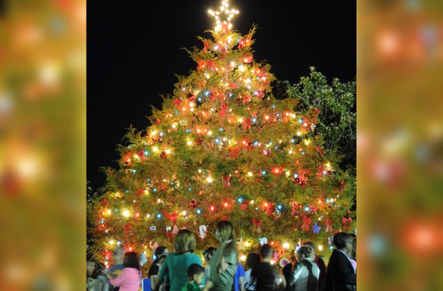 Contest seeks to spur creativity, holiday cheer