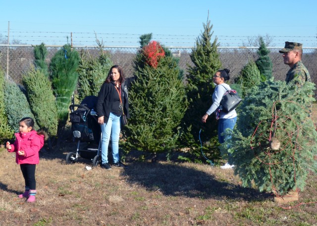 Trees for Troops at Fort Leonard Wood