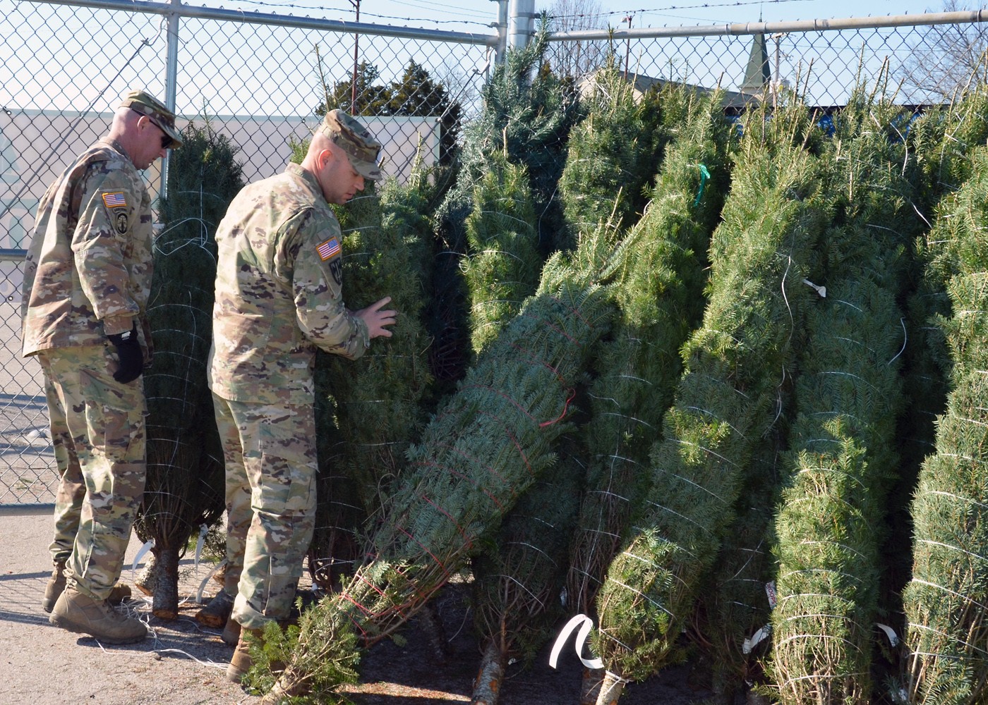 Trees for Troops at Fort Leonard Wood Article The United States Army