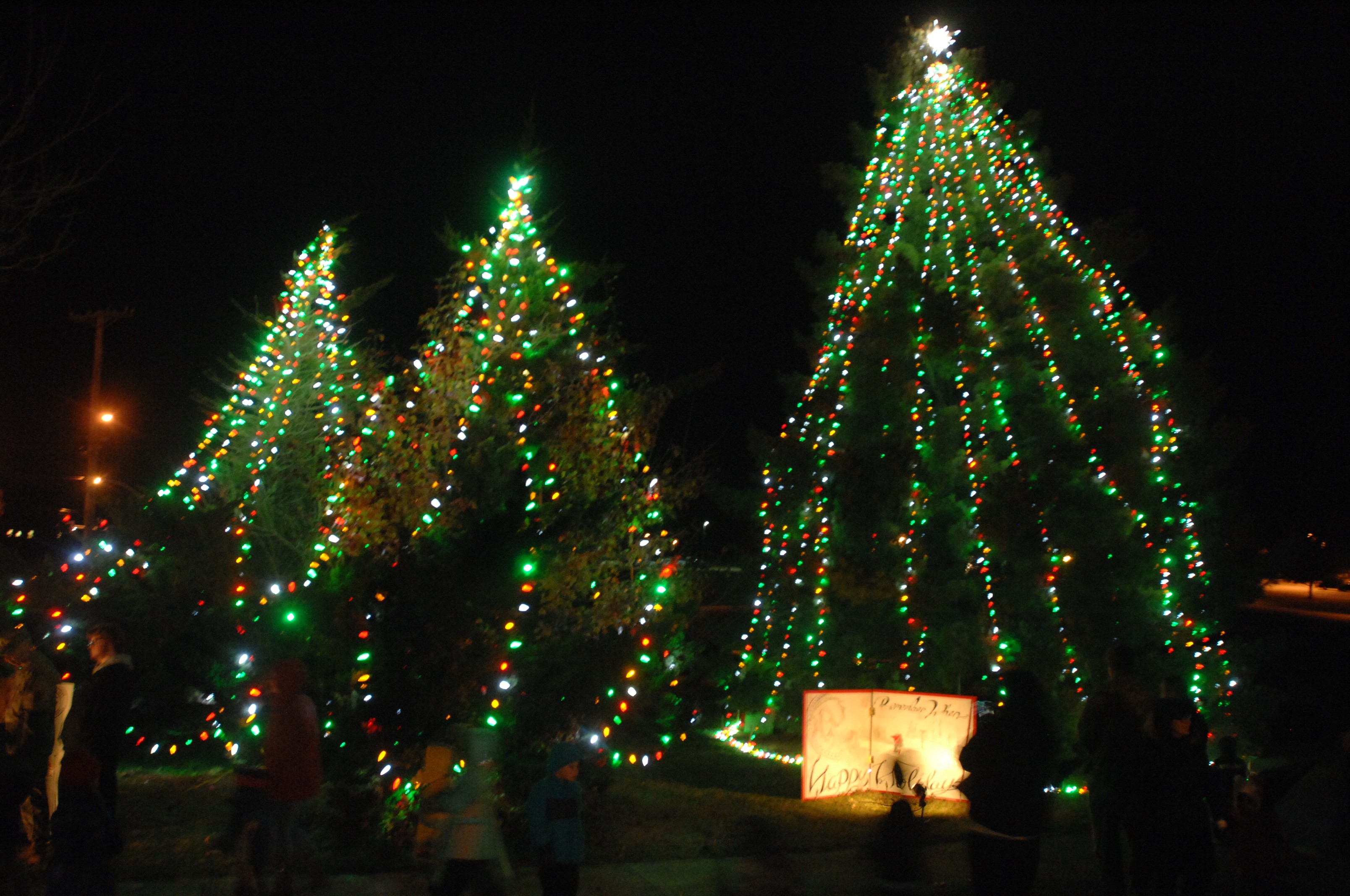 Wonderland, tree lighting ring in season at Fort Leonard Wood Article