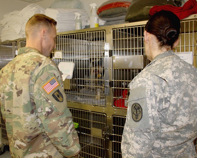 VETCEN Animals Get A Visit From The Command Team