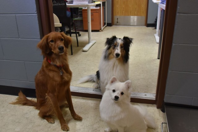 Yongsan Pet Care Center reopens after renovation