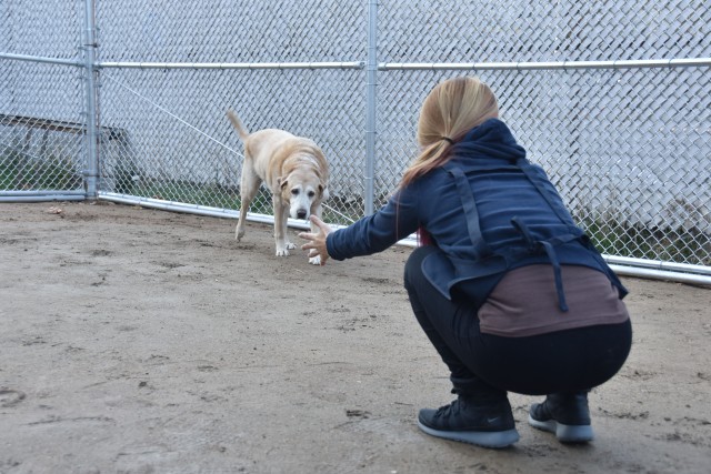 Yongsan Pet Care Center reopens after renovation