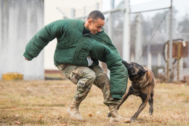 Surgical soldiers get their paws dirty