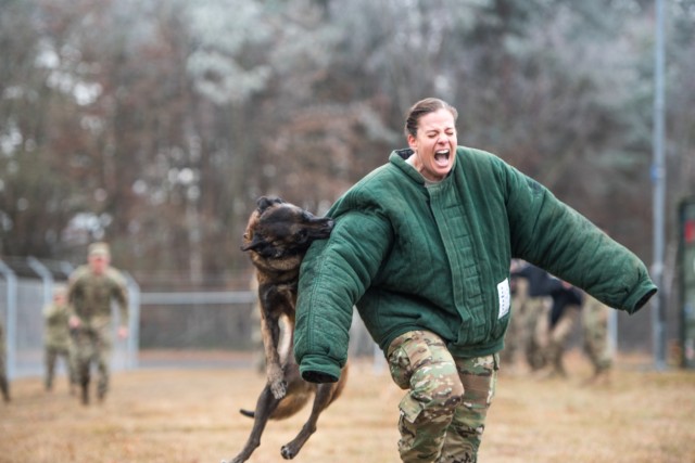 Surgical soldiers get their paws dirty