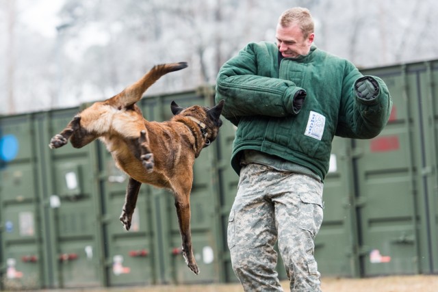Surgical soldiers get their paws dirty
