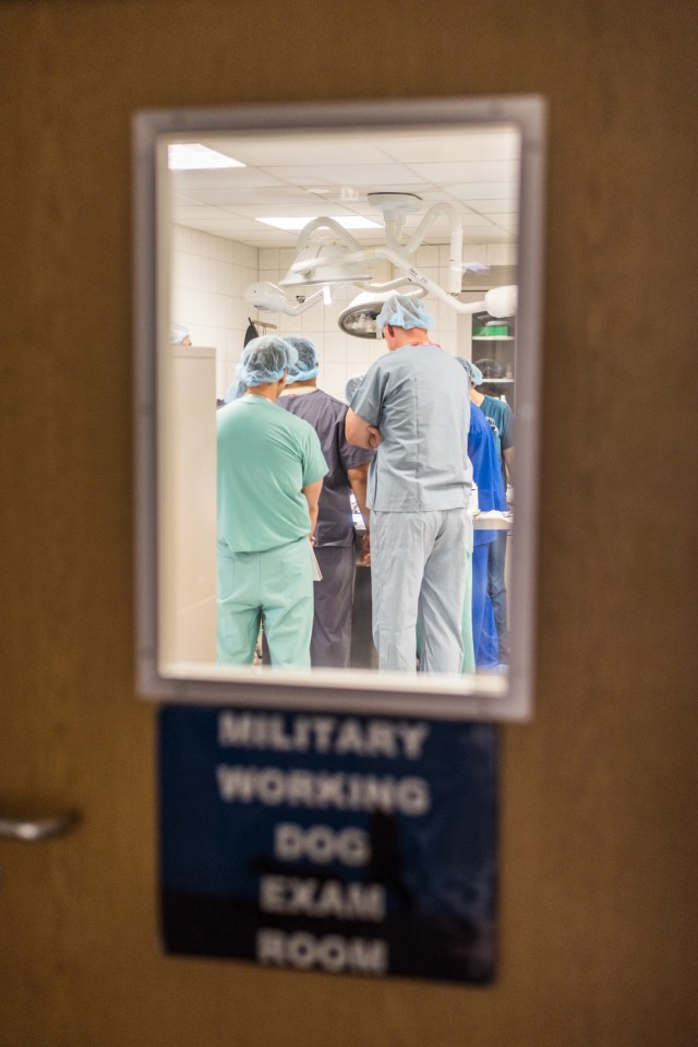 Surgical soldiers get their paws dirty