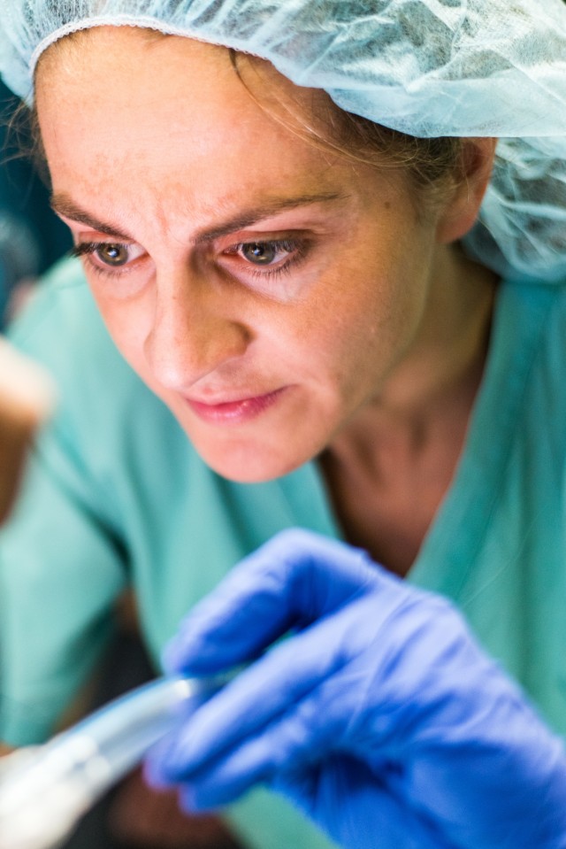 Surgical soldiers get their paws dirty