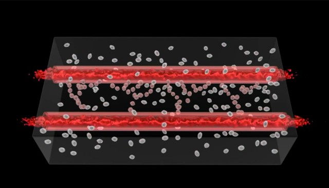 precision and 3D structures made possible through bioprinting