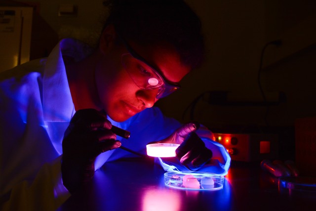 Scientists use fluorescent gels for innovative brain research