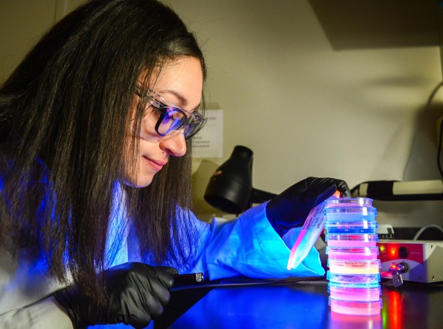 Scientists use fluorescent gels for innovative brain research