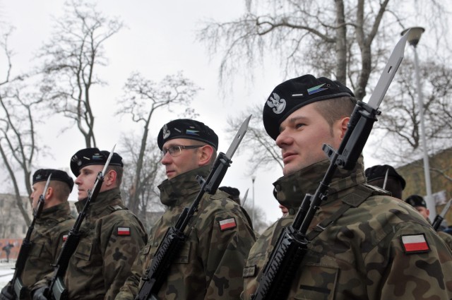 'Iron Brigade' participates in Polish celebration