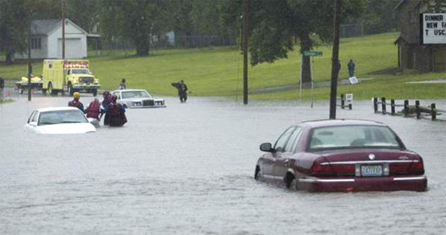 'Turn Around, Don't Drown'