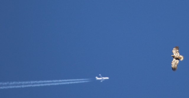 usa image