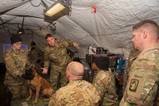 Dogs, medics take to the air