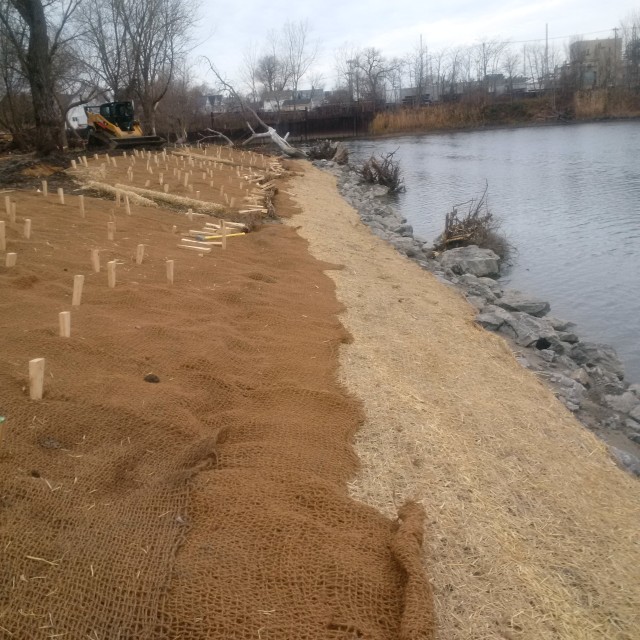 Seneca Bluffs Ecosystem Restoration Project
