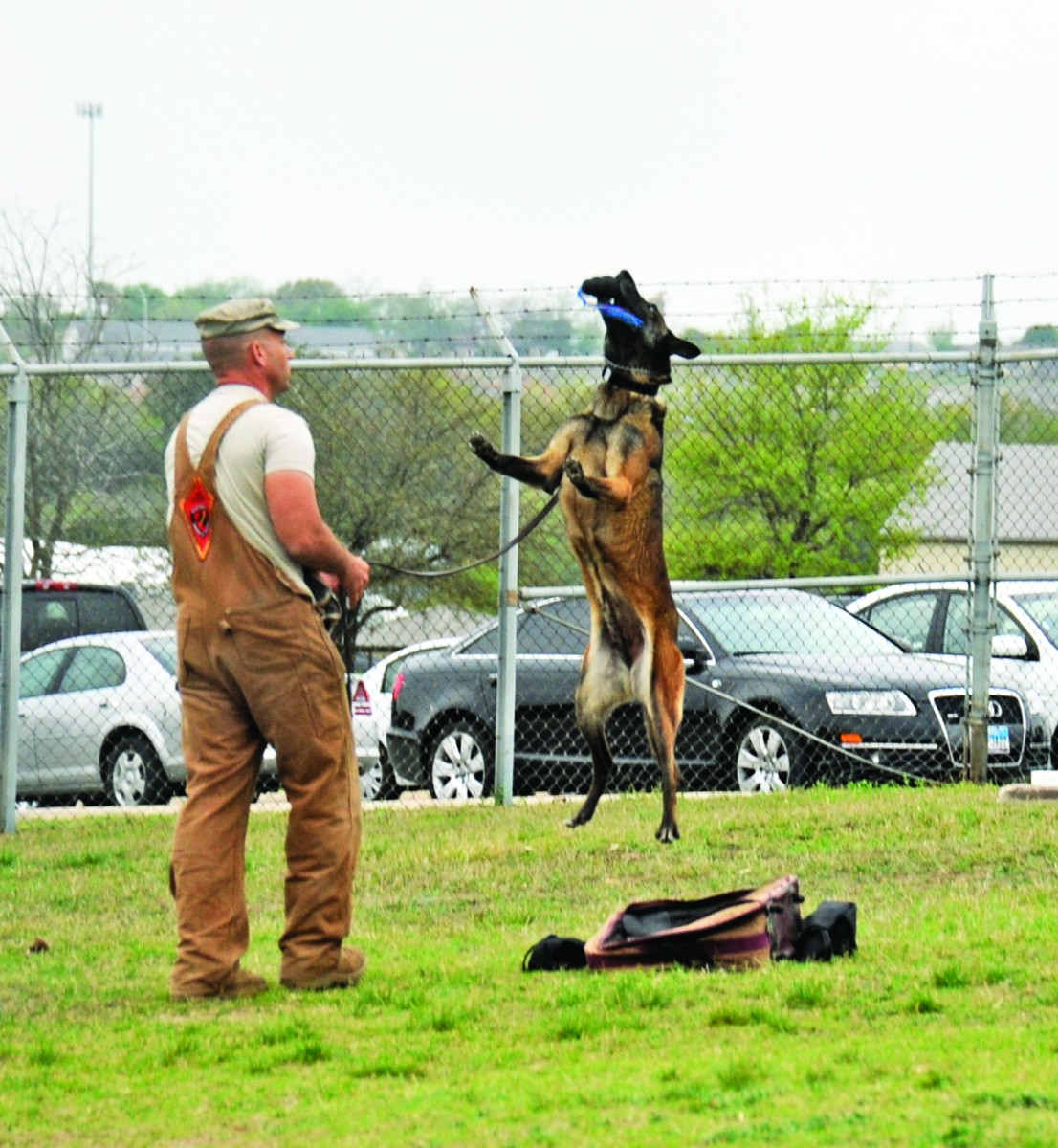 Military Working Dogs Guardians Of The Night Article The United States Army