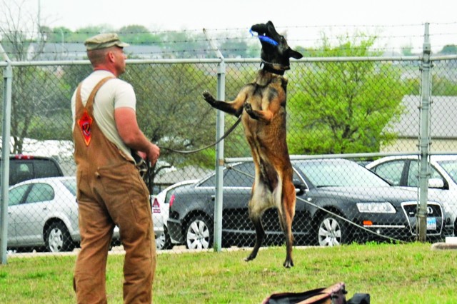 animals a soldiers best friend scout dogs and their handlers in the vietnam war books uni tankers dk
