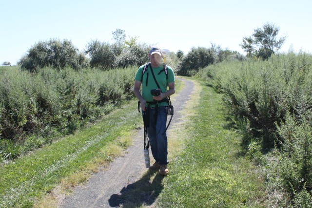 Gamma Walkover Survey