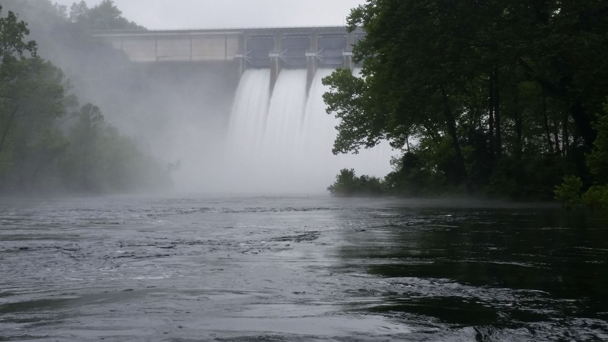 Tiger of the Lake Article The United States Army