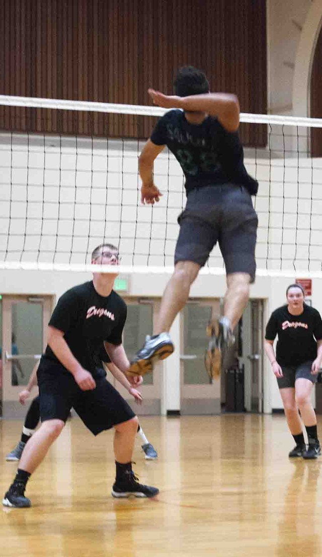volleyball2