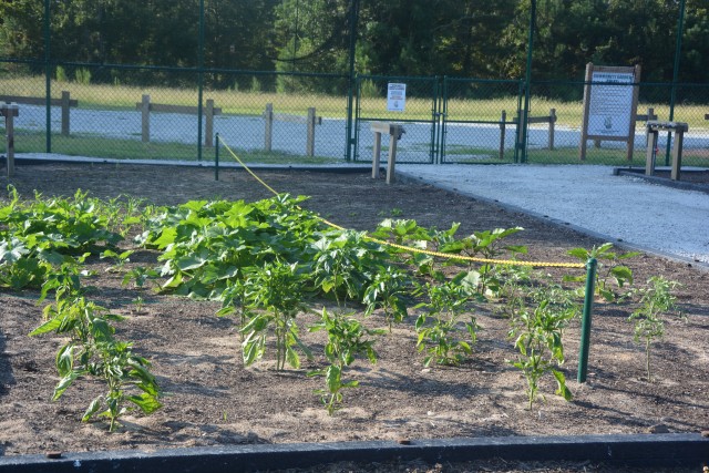 Community Garden ready for planting
