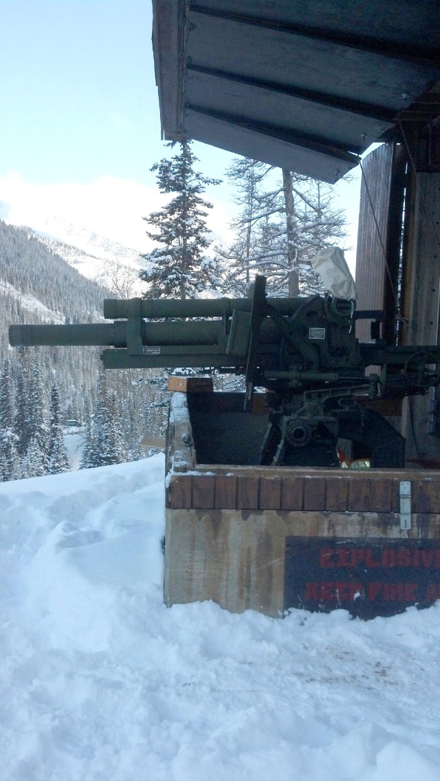 Snowbird