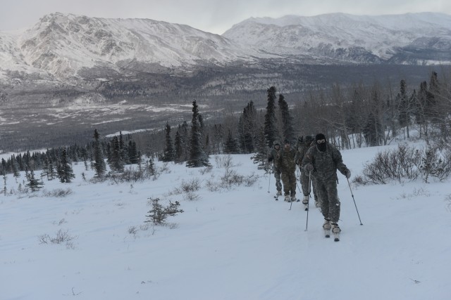 Soldiers learn skiing, snowshoeing in arctic conditions