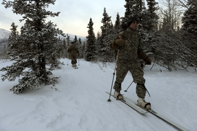 Soldiers learn skiing, snowshoeing in arctic conditions