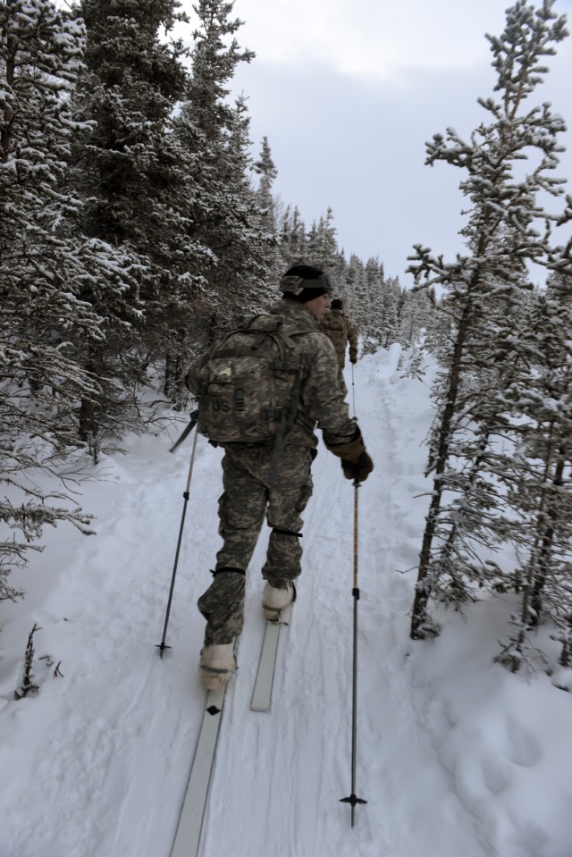 Soldiers learn skiing, snowshoeing in arctic conditions