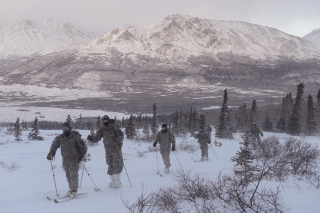 Soldiers learn skiing, snowshoeing in arctic conditions