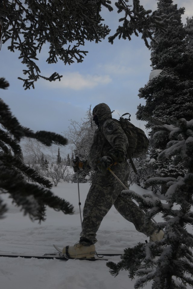 Soldiers learn skiing, snowshoeing in arctic conditions