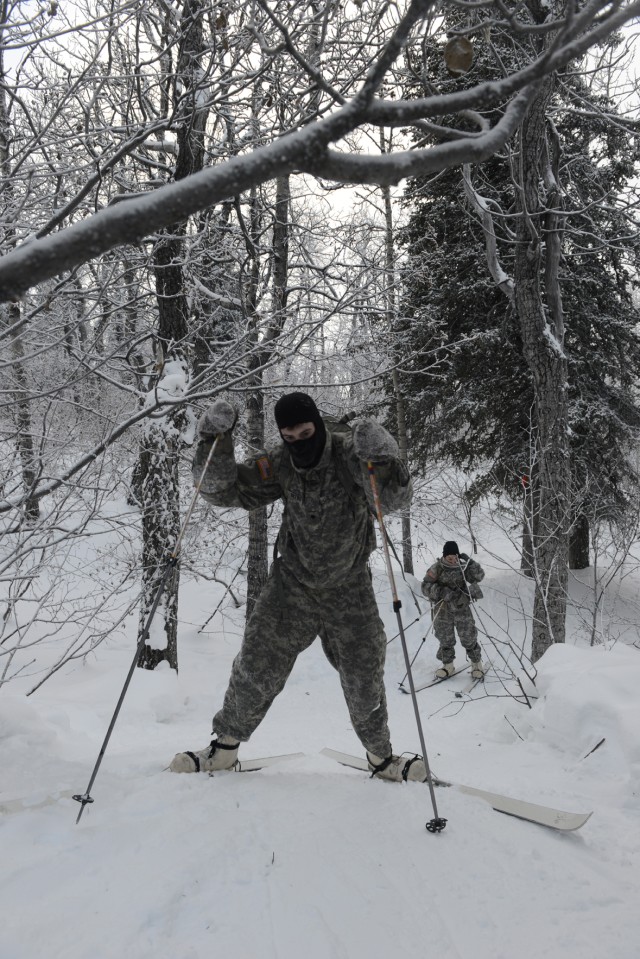 Soldiers learn skiing, snowshoeing in arctic conditions | Article | The ...